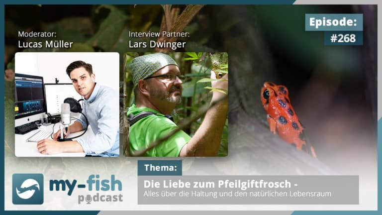 Podcast Episode #268: Die Liebe zum Pfeilgiftfrosch - Alles über die Haltung und den natürlichen Lebensraum (Lars Dwinger)