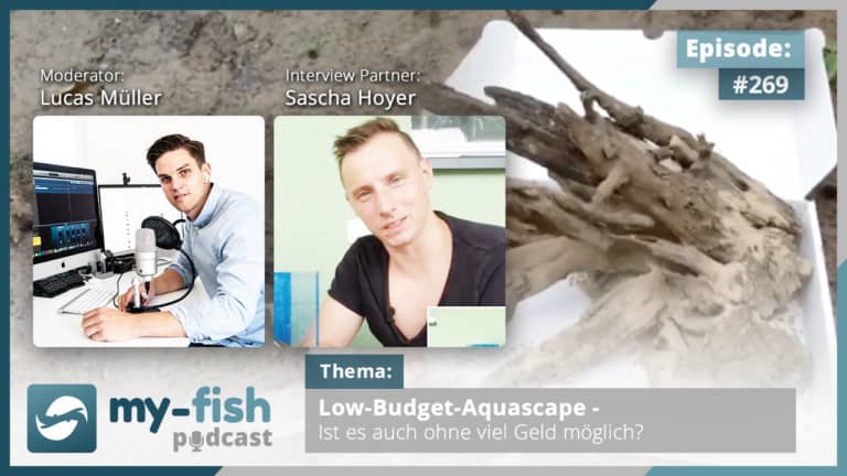 Podcast Episode #269:Low-Budget-Aquascape - Ist es auch ohne viel Geld möglich? (Sascha Hoyer)