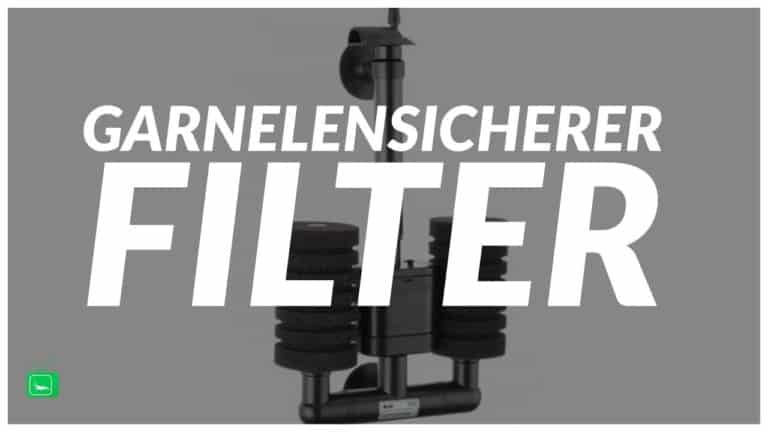 GarnelenTv Video Tipp:  Garnelensicherer Filter