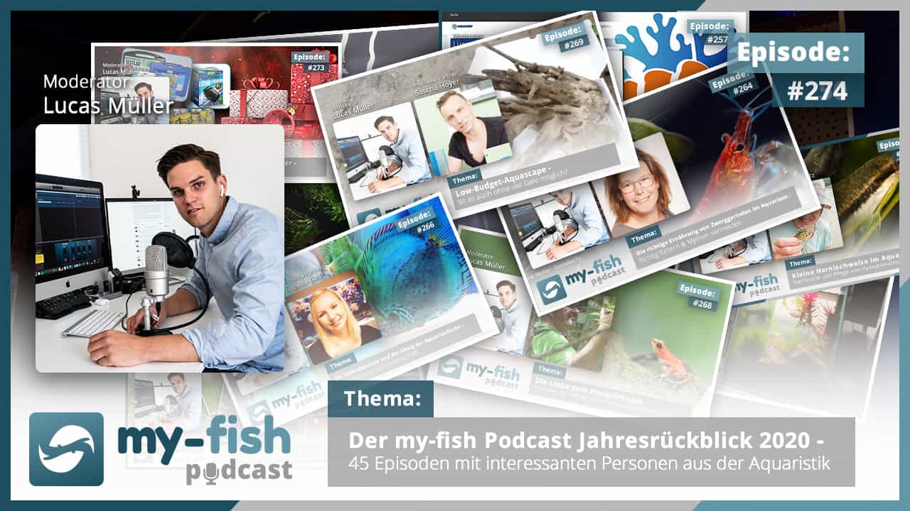 Podcast Episode #274: Der my-fish Podcast Jahresrückblick 2020 - 45 Episoden mit interessanten Personen aus der Aquaristik