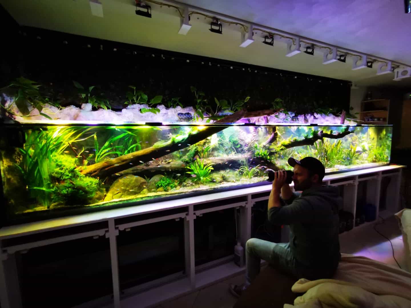 Tobis Aquaristikexzesse Video Tipp: UPDATE XXL AQUARIUM