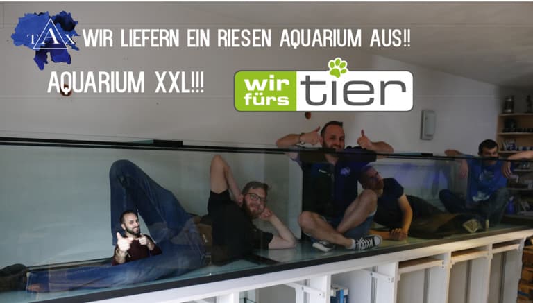 Tobis Aquaristikexzesse Video Tipp: XXL Aquarium - wir liefern aus