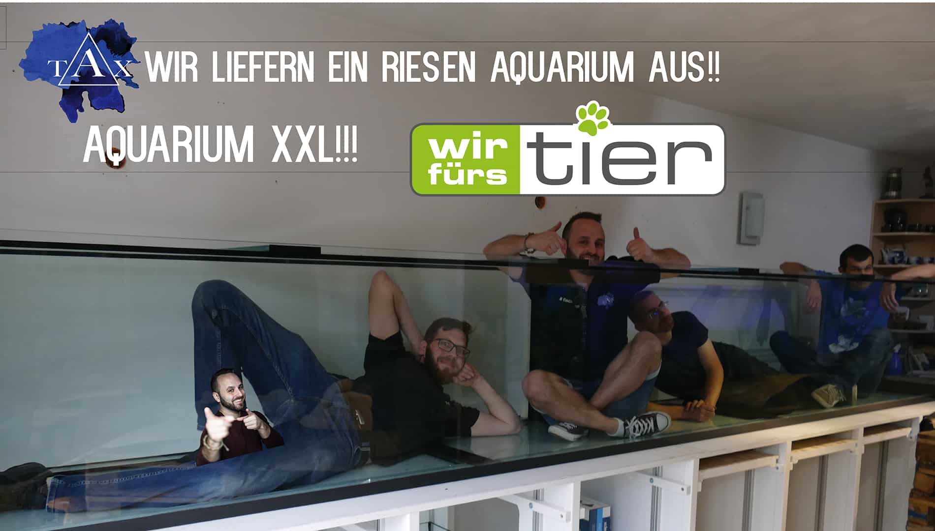 Tobis Aquaristikexzesse Video Tipp: XXL Aquarium – wir liefern aus