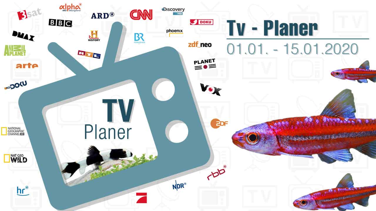 TV-Liste vom 01.01. – 15.01.2021