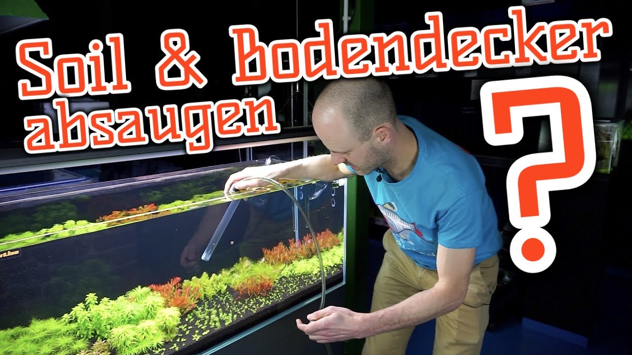 AQUaddicted! – Video Tipp: Wasserwechsel und Soil? Mulm absaugen.