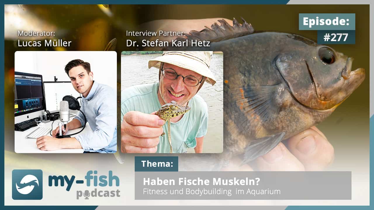 Podcast Episode #277: Haben Fische Muskeln? Fitness und Bodybuilding im Aquarium (Dr. Stefan Karl Hetz) 1