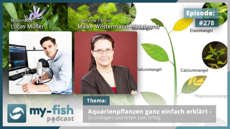 Podcast Episode #278: Aquarienpflanzen ganz einfach erklärt - Grundlagen und Arten zum Erfolg (Maike Wilstermann-Hildebrand)
