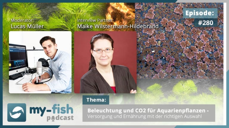 Podcast Episode #280: Beleuchtung und CO2 für Aquarienpflanzen – Versorgung und Ernährung mit der richtigen Auswahl (Maike Wilstermann-Hildebrand)