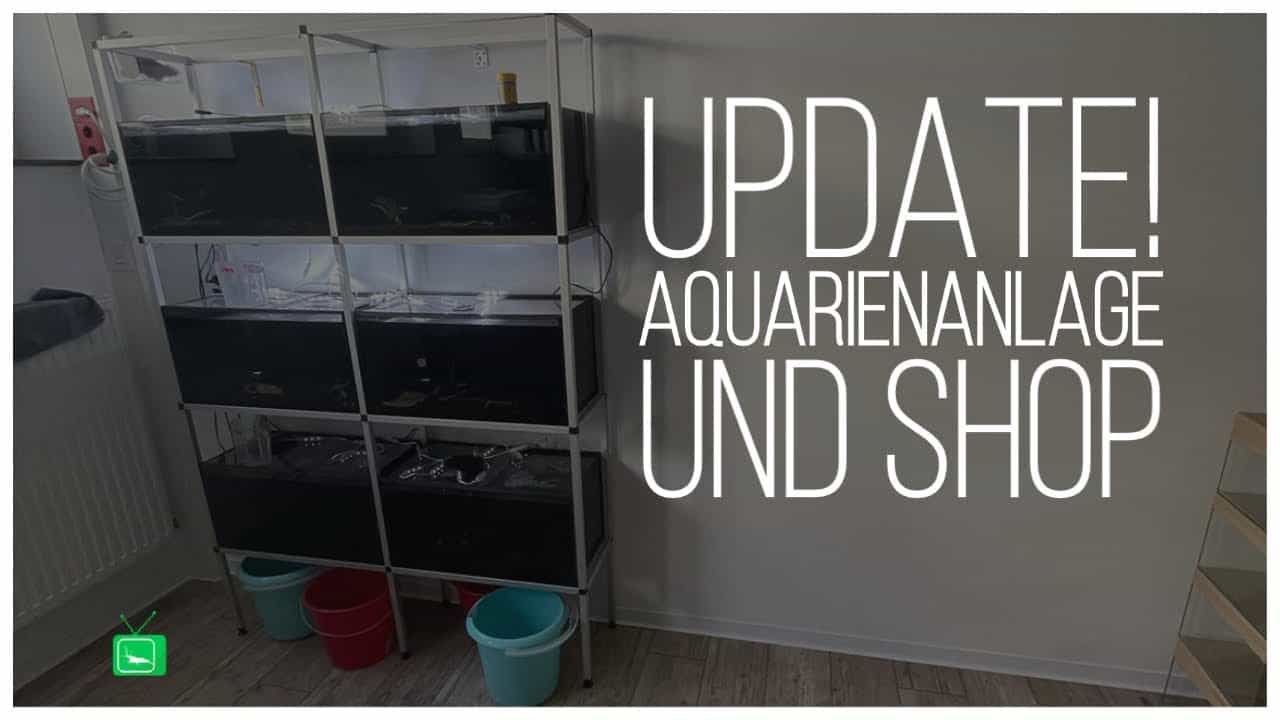 GarnelenTv Video Tipp: Roomtour durch den Showroom