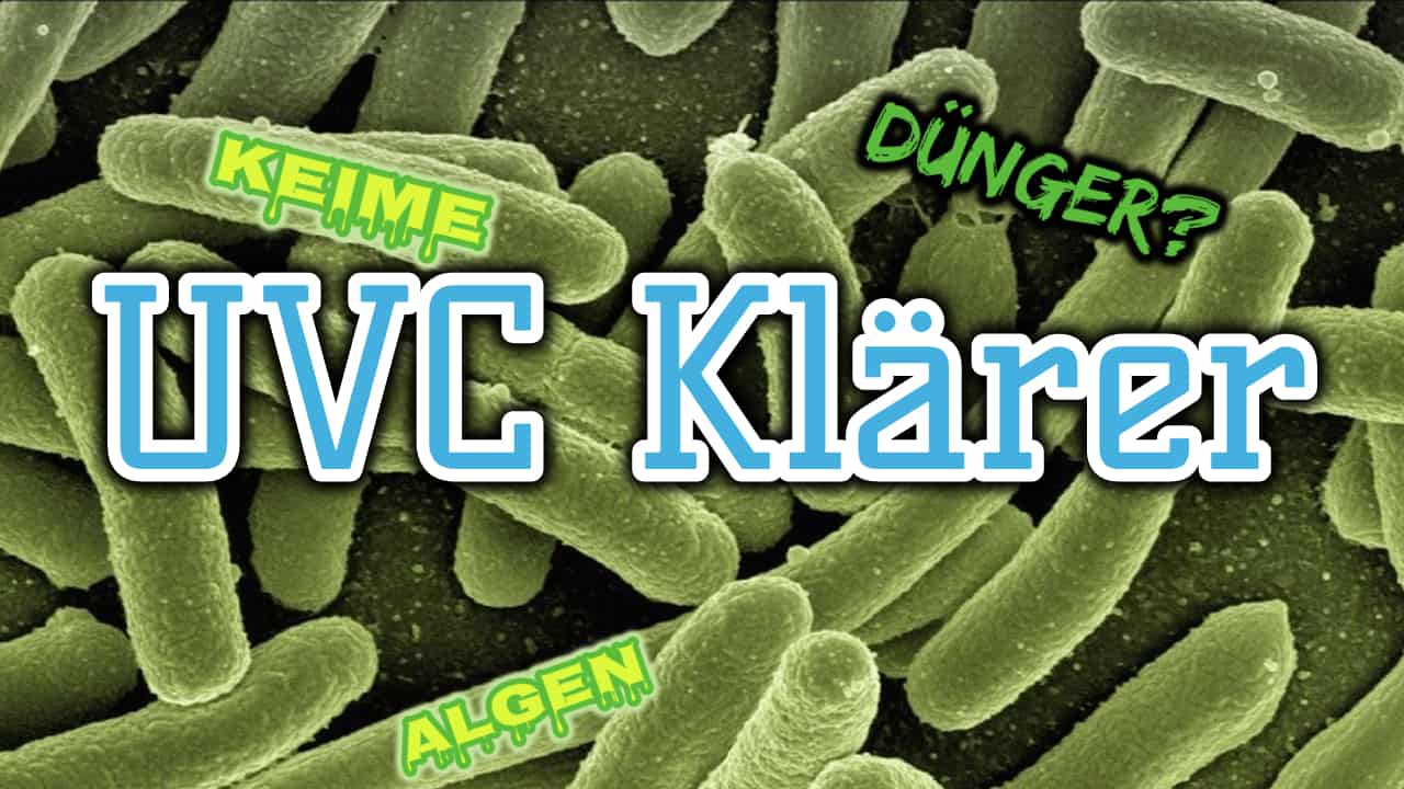 AQUaddicted! – Video Tipp: UVC-Klärer für das Aquarium
