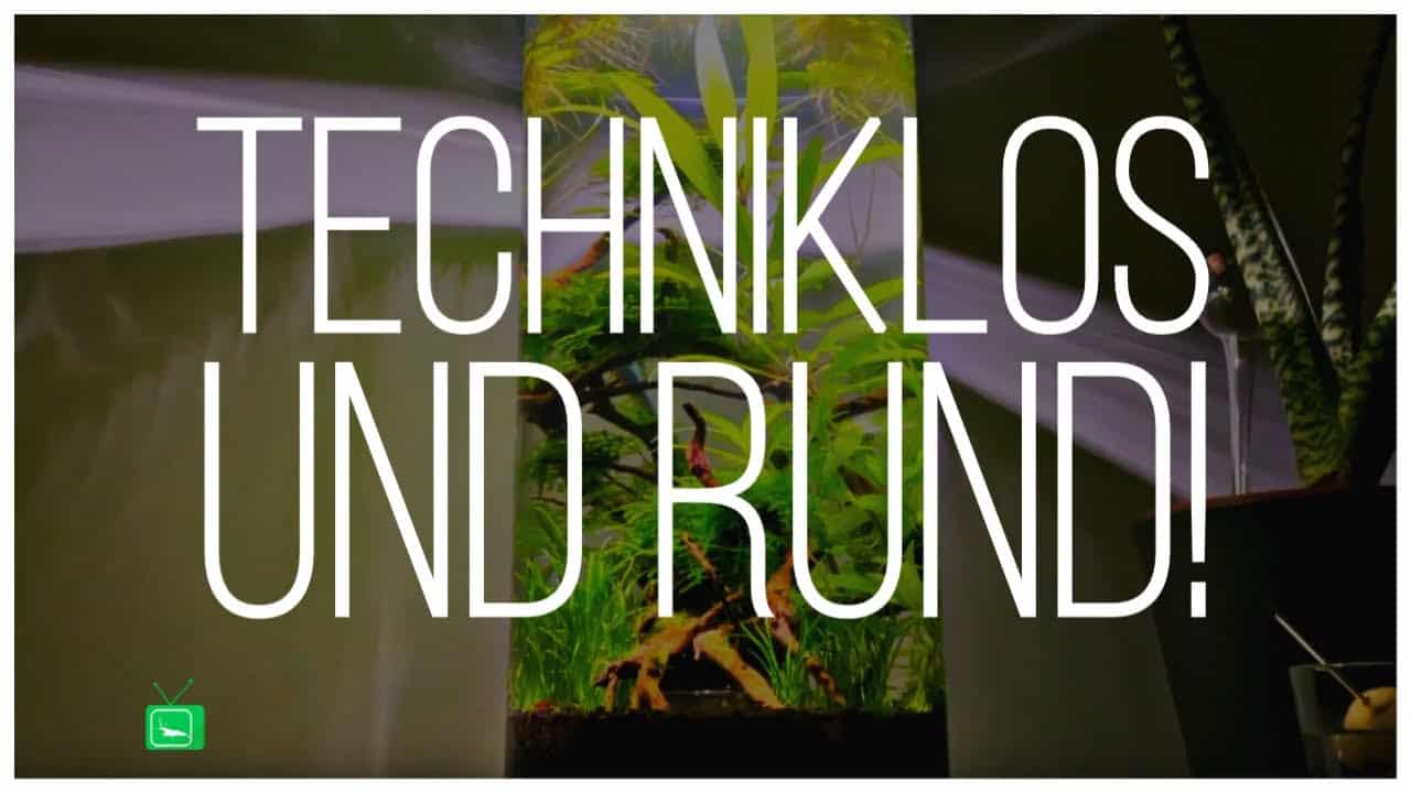 GarnelenTv Video Tipp: Technikloses Aquarium
