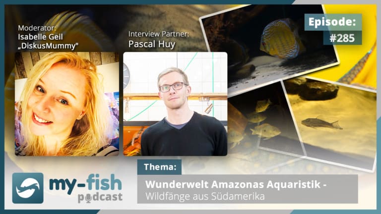 Podcast Episode #285: Wunderwelt Amazonas Aquaristik - Wildfänge aus Südamerika (Pascal Huy)