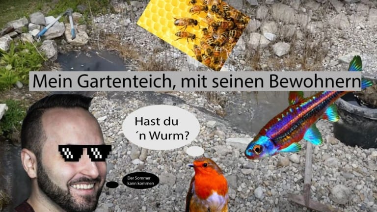 Tobis Aquaristikexzesse Video Tipp: Gartenteich - Alles muss raus!