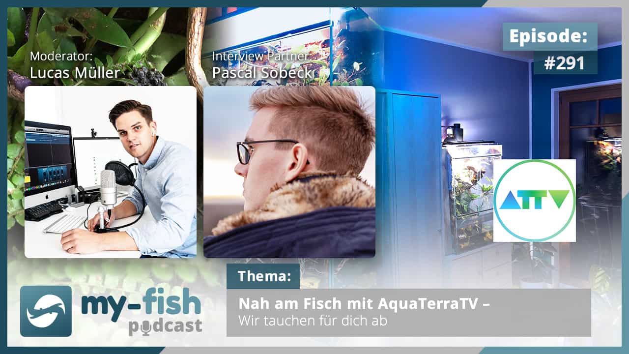 Podcast Episode #291: Nah am Fisch mit AquaTerraTV – Wir tauchen für dich ab (Pascal Sobeck)
