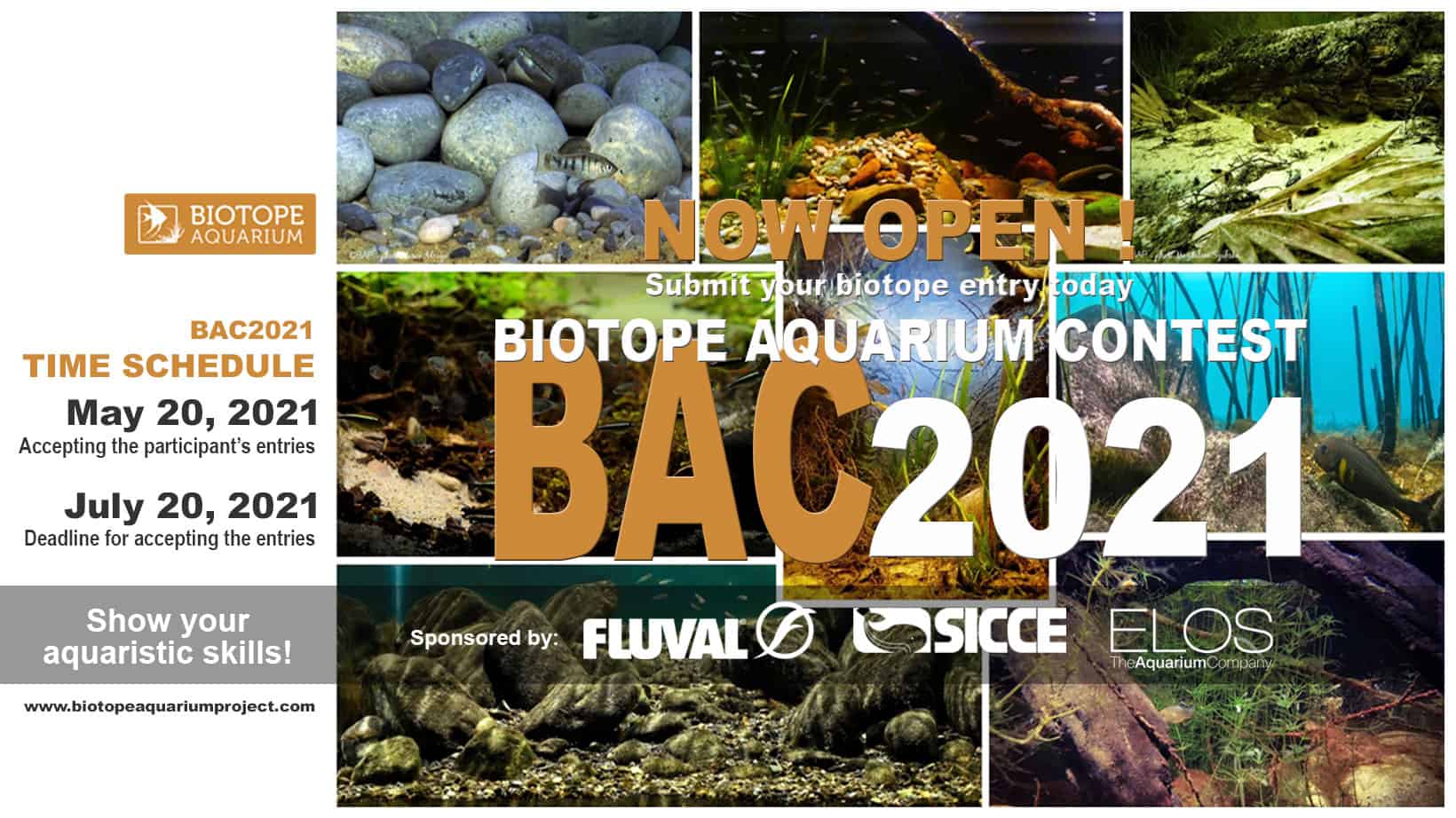 BIOTOPE AQUARIUM Contest 2021 – Mach mit!
