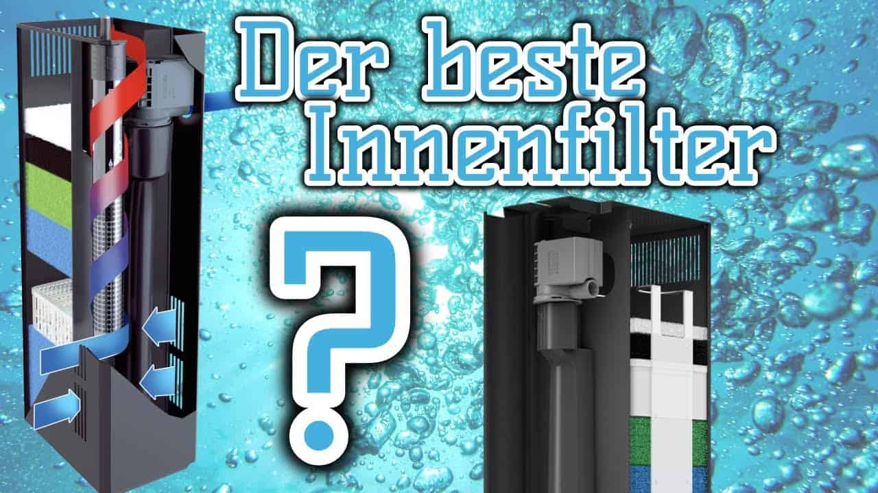 AQUaddicted! – Video Tipp: Der beste Innenfilter für das Aquarium?