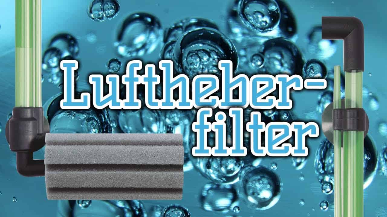 AQUaddicted! – Video Tipp: Der Luftheberfilter