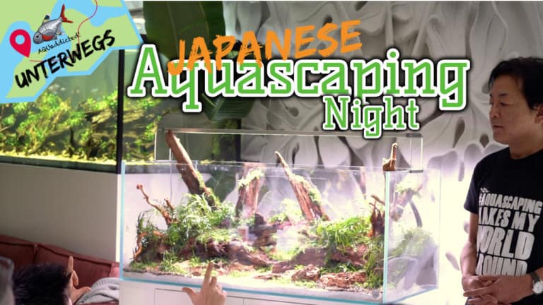 AQUaddicted! - Video Tipp: Japanische Scaping-Nacht bei Aquaflora