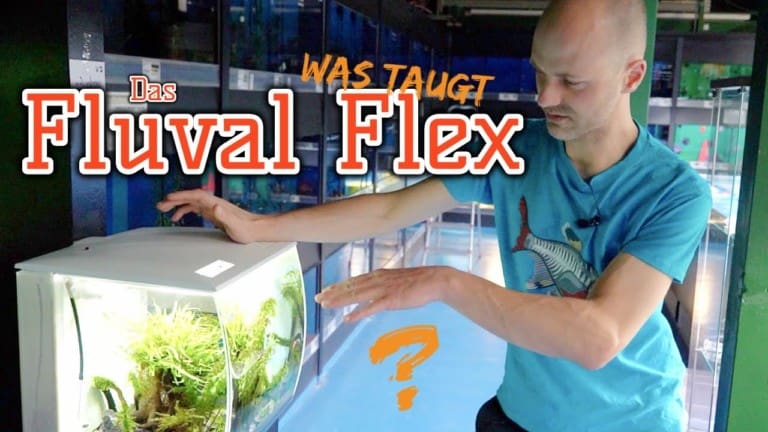AQUaddicted! - Video Tipp: Das beste Aquarium für Einsteiger?