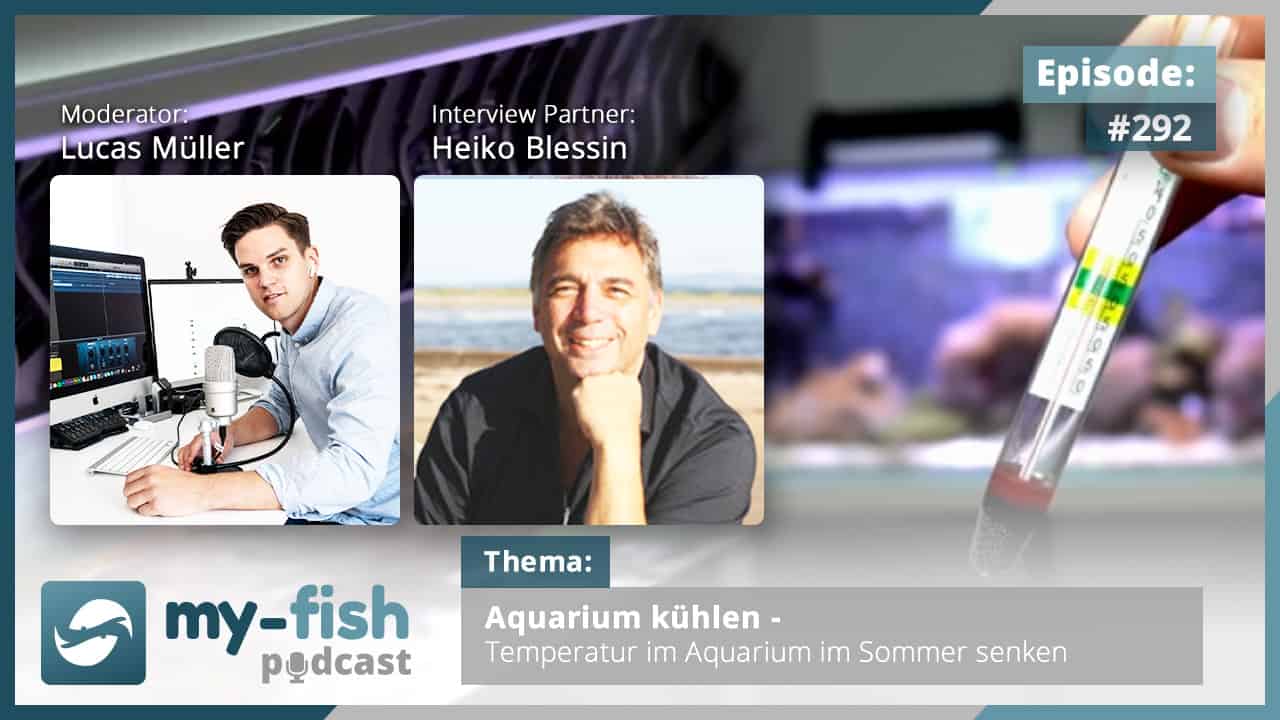 Podcast Episode #292: Aquarium kühlen - Temperatur im Aquarium im Sommer senken (Heiko Blessin)