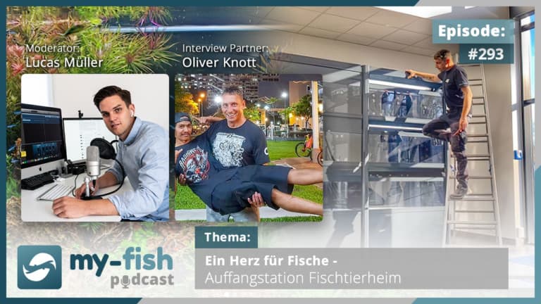 Podcast Episode #293: Ein Herz für Fische - Auffangstation Fischtierheim (Oliver Knott)