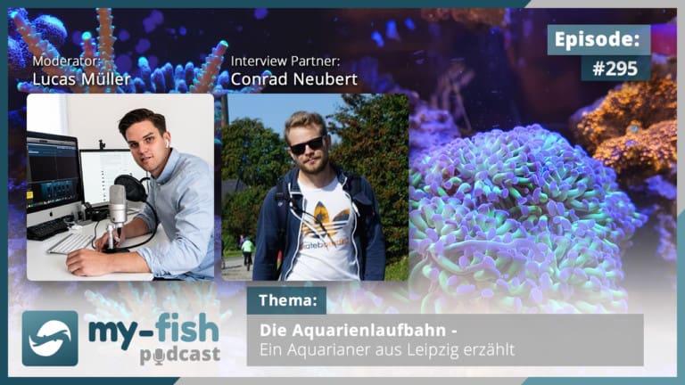 Podcast Episode #295: Die Aquarienlaufbahn - Ein Aquarianer aus Leipzig erzählt (Conrad Neubert)