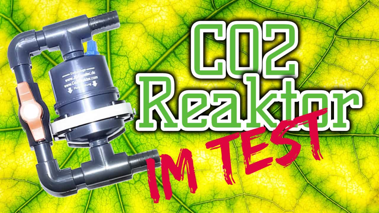 AQUaddicted! – Video Tipp: CO2 Reaktor für das Aquarium