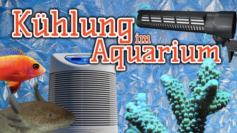 AQUaddicted! - Video Tipp:  Kühlung für das Aquarium