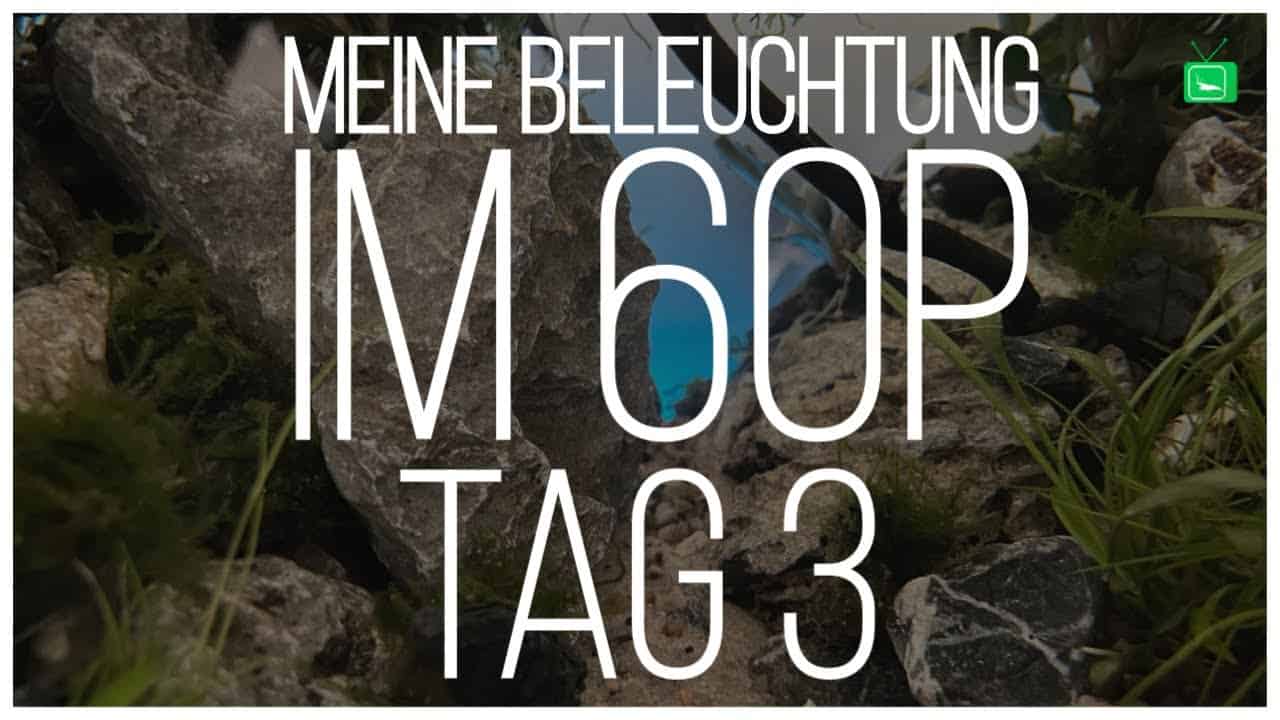 GarnelenTv Video Tipp: 60P Aquascape – Tag 3 | Tagebuch – Meine Beleuchtung