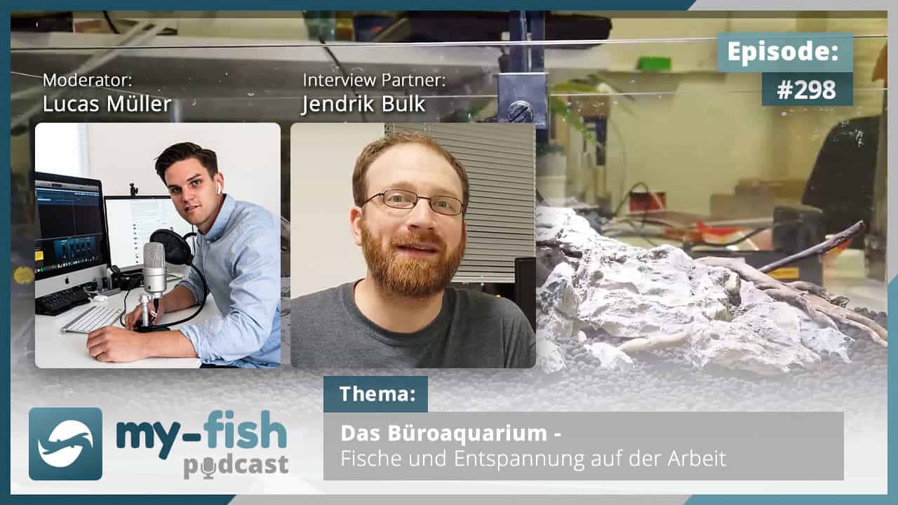 Podcast Episode #298: Das Büroaquarium - Fische und Entspannung auf der Arbeit (Jendrik Bulk)