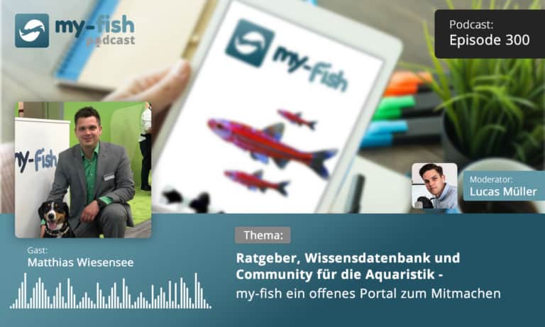 Podcast Episode #300: Ratgeber, Wissensdatenbank und Community für die Aquaristik - my-fish ein offenes Portal zum Mitmachen (Matthias Wiesensee)