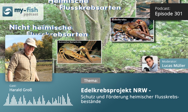 Podcast Episode #301: Edelkrebsprojekt NRW - Schutz und Förderung heimischer Flusskrebsbestände (Harald Groß)