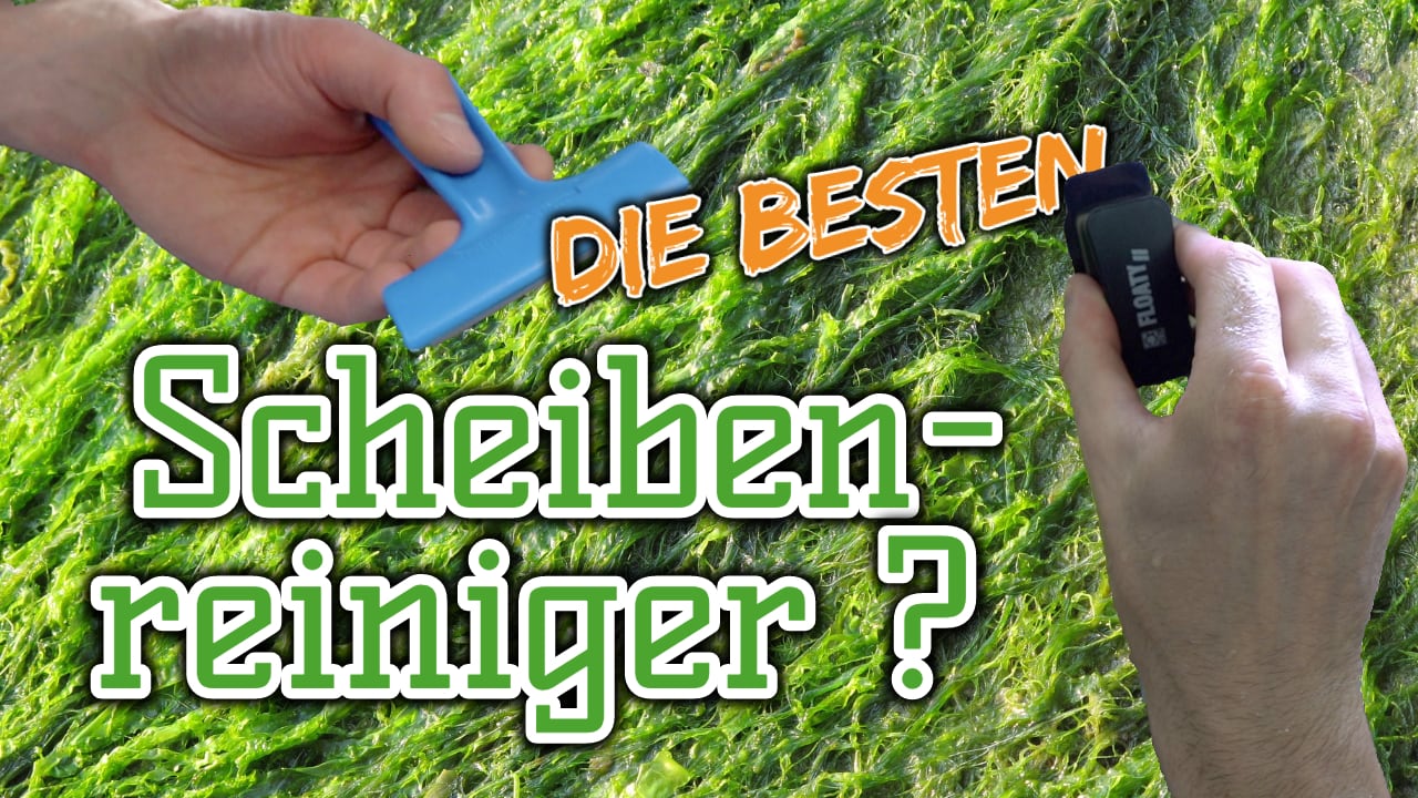 AQUaddicted! – Video Tipp:  Die besten Scheibenreiniger für das Aquarium
