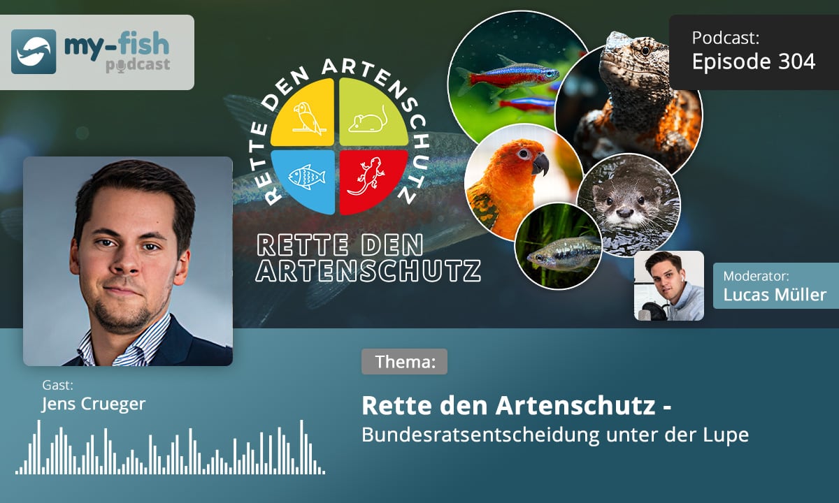 Podcast Episode #304: UPDATE: Rette den Artenschutz -  Bundesratsentscheidung unter der Lupe (Jens Crueger)