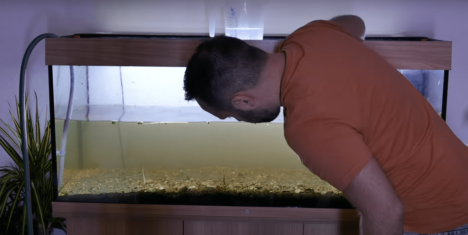 Tobis Aquaristikexzesse Video Tipp: Aquarium Abbau und Techniktausch I TEIL 1 von 2
