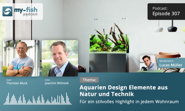 Podcast Episode #307: Aquarien Design Elemente aus Natur und Technik - Für ein  stilvolles Highlight in jedem Wohnraum (Muck & Wilmink)