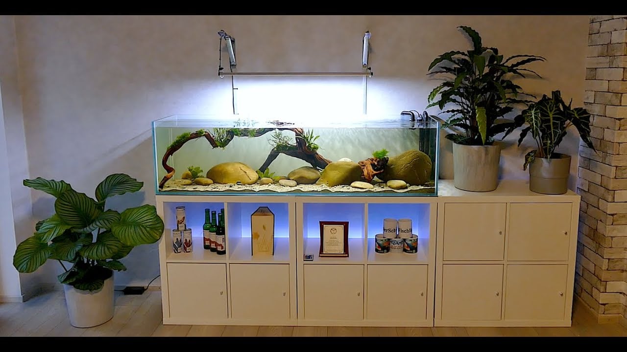 Tobis Aquaristikexzesse Video Tipp:  IKEA Aquarienschrank Kallaxregal -  Einrichtung und Pflanzen