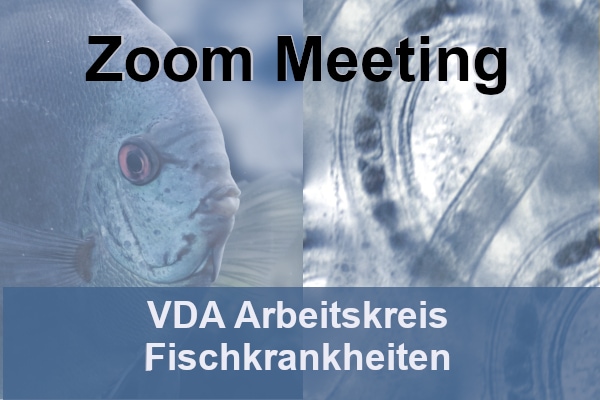 VDA Arbeitskreis Fischkrankheiten - Zoom Meeting 12.01.22 mit Tierärztin Dr. Andrea Feßler, PhD