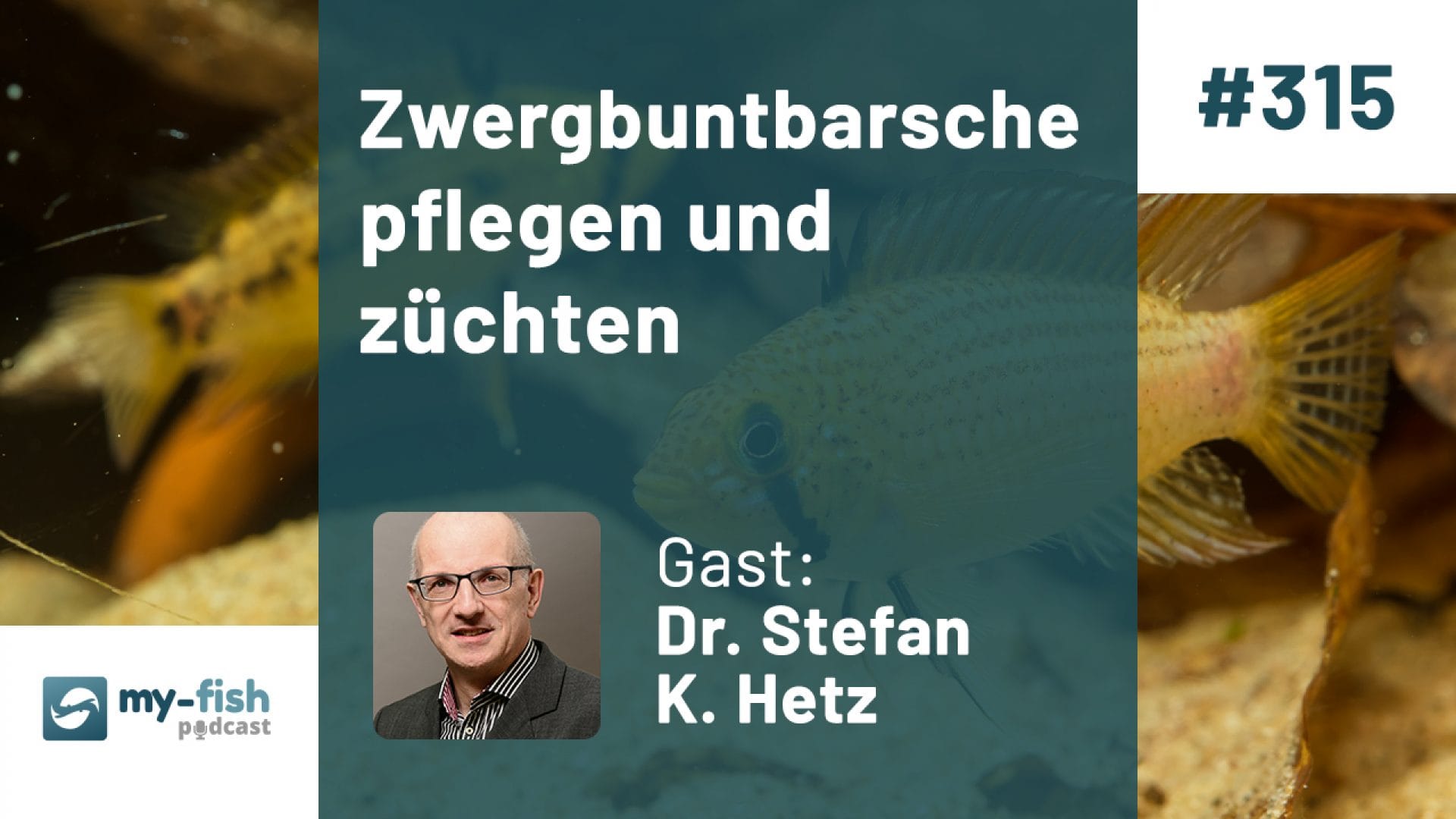 315: Zwergbuntbarsche pflegen und züchten (Dr. Stefan K. Hetz)