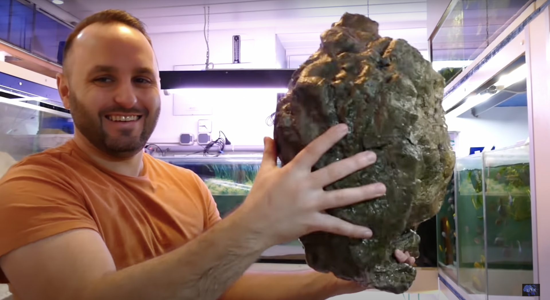 Tobis Aquaristikexzesse Video Tipp: Über 200 Fische für den Transport vorbereiten