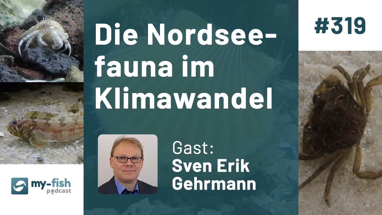 319: Die Nordseefauna im Klimawandel - Beobachtungen im aquatilen Tierreich (Sven Erik Gehrmann)