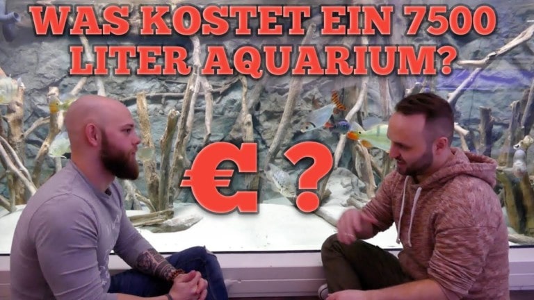 Tobis Aquaristikexzesse Video Tipp: Was kostet ein 7500 Liter XXL Aquarium ? I TEIL 2