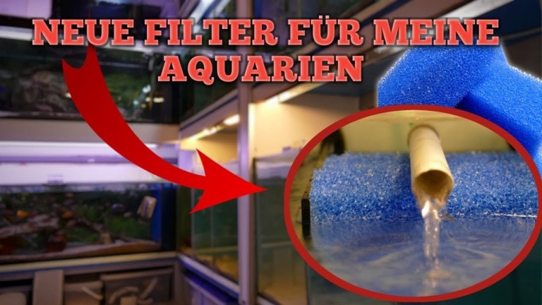 Tobis Aquaristikexzesse Video Tipp: Neue Filter für meine Aquarien