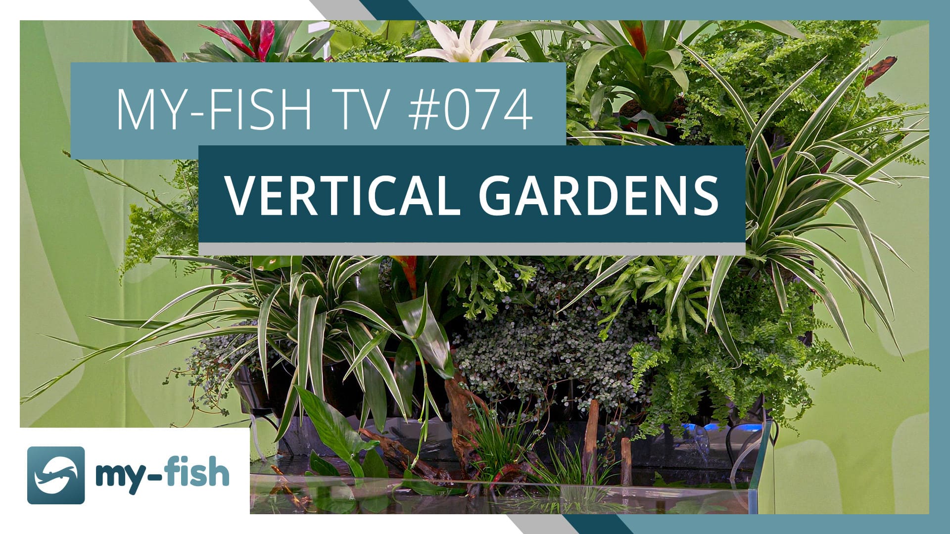 my-fish TV: Vertical Gardens Vorstellung mit Oliver Knott (Interzoo 2022)