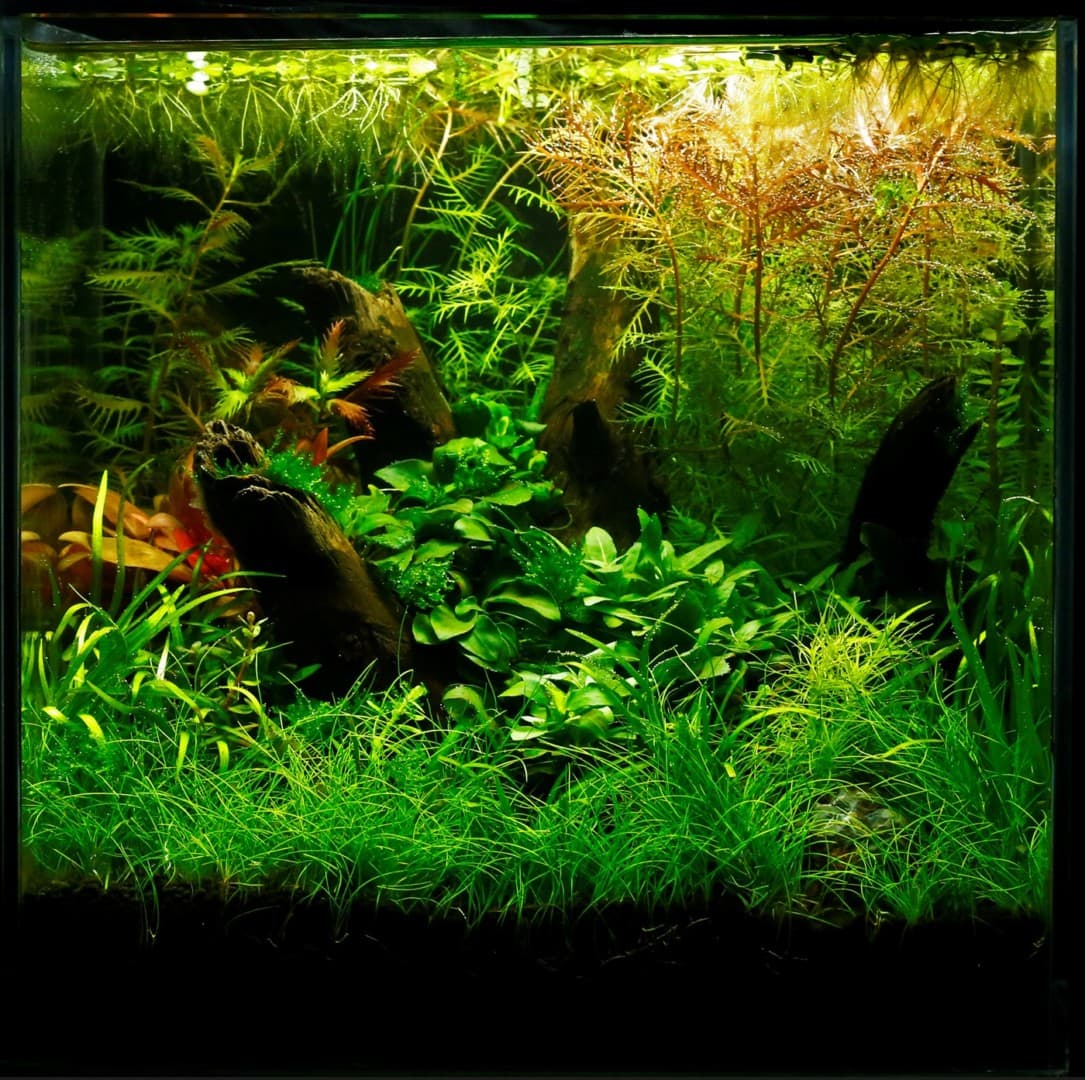 Layout 102, Aquarienlayout