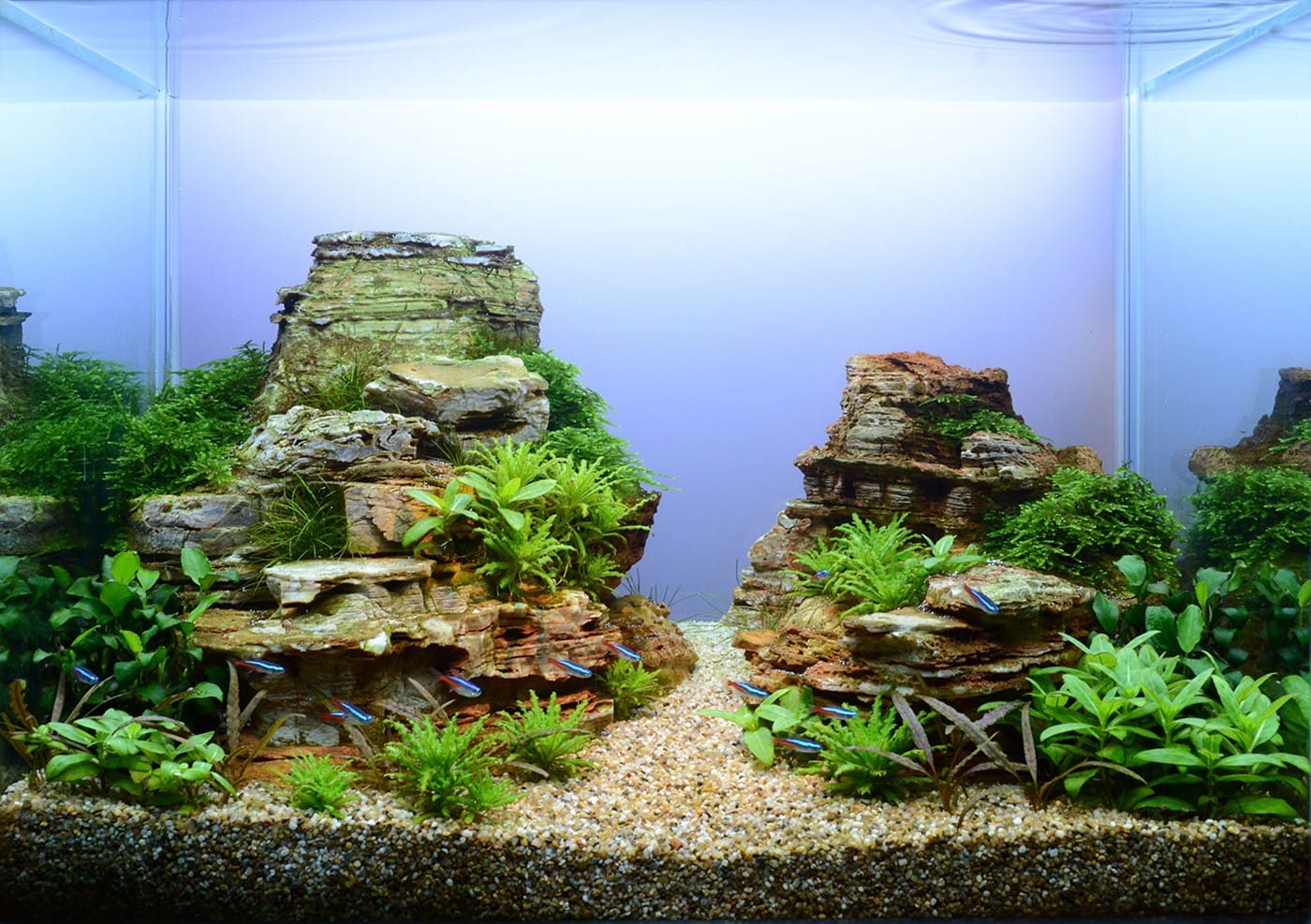 On the Rocks, Bild 8