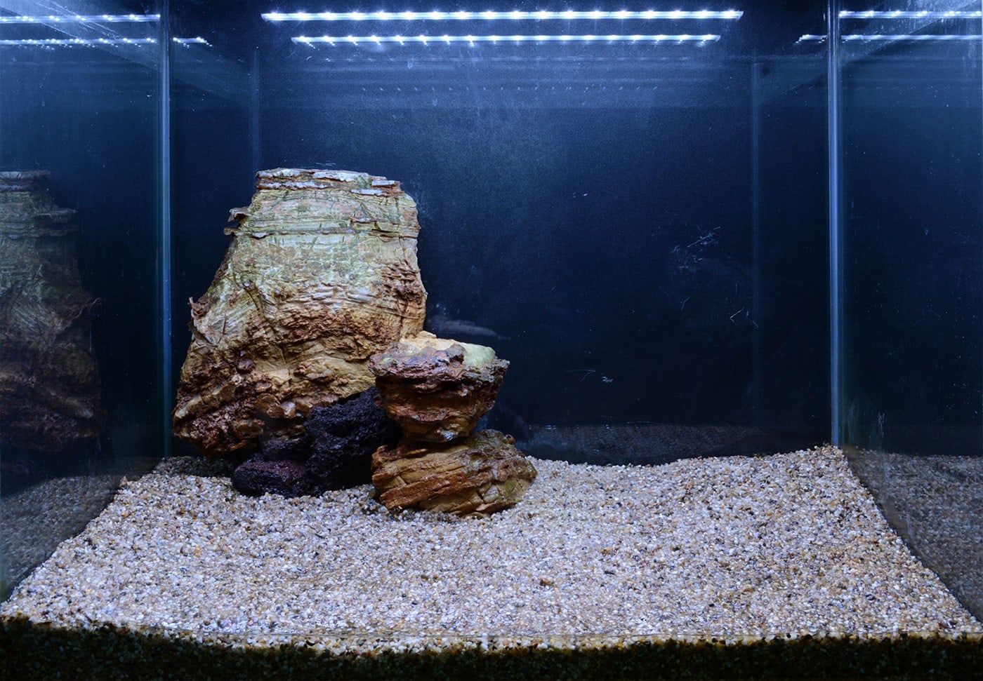 On the Rocks, Bild 3
