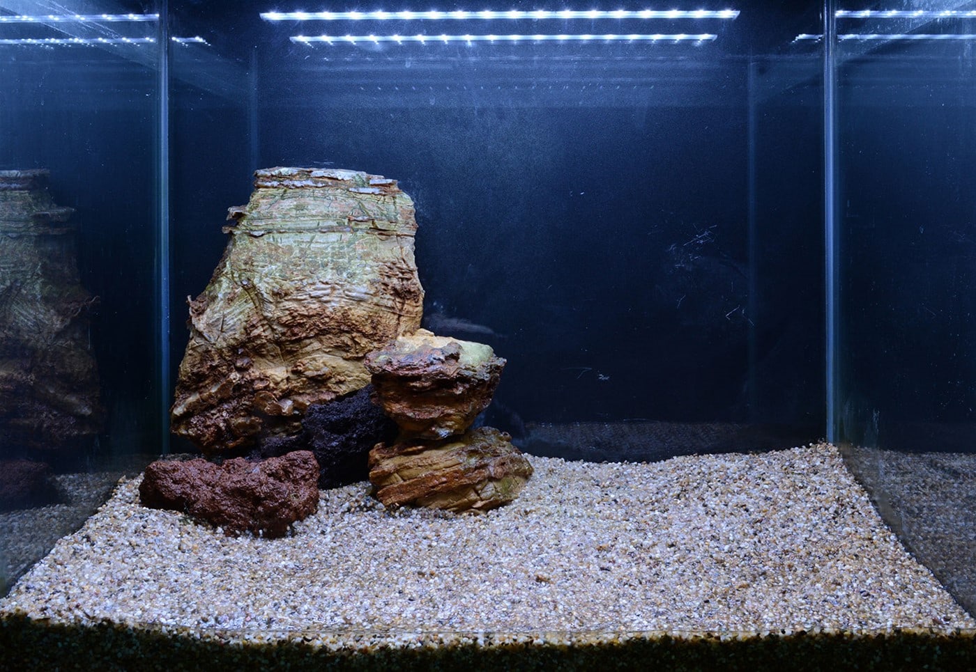 On the Rocks, Bild 2