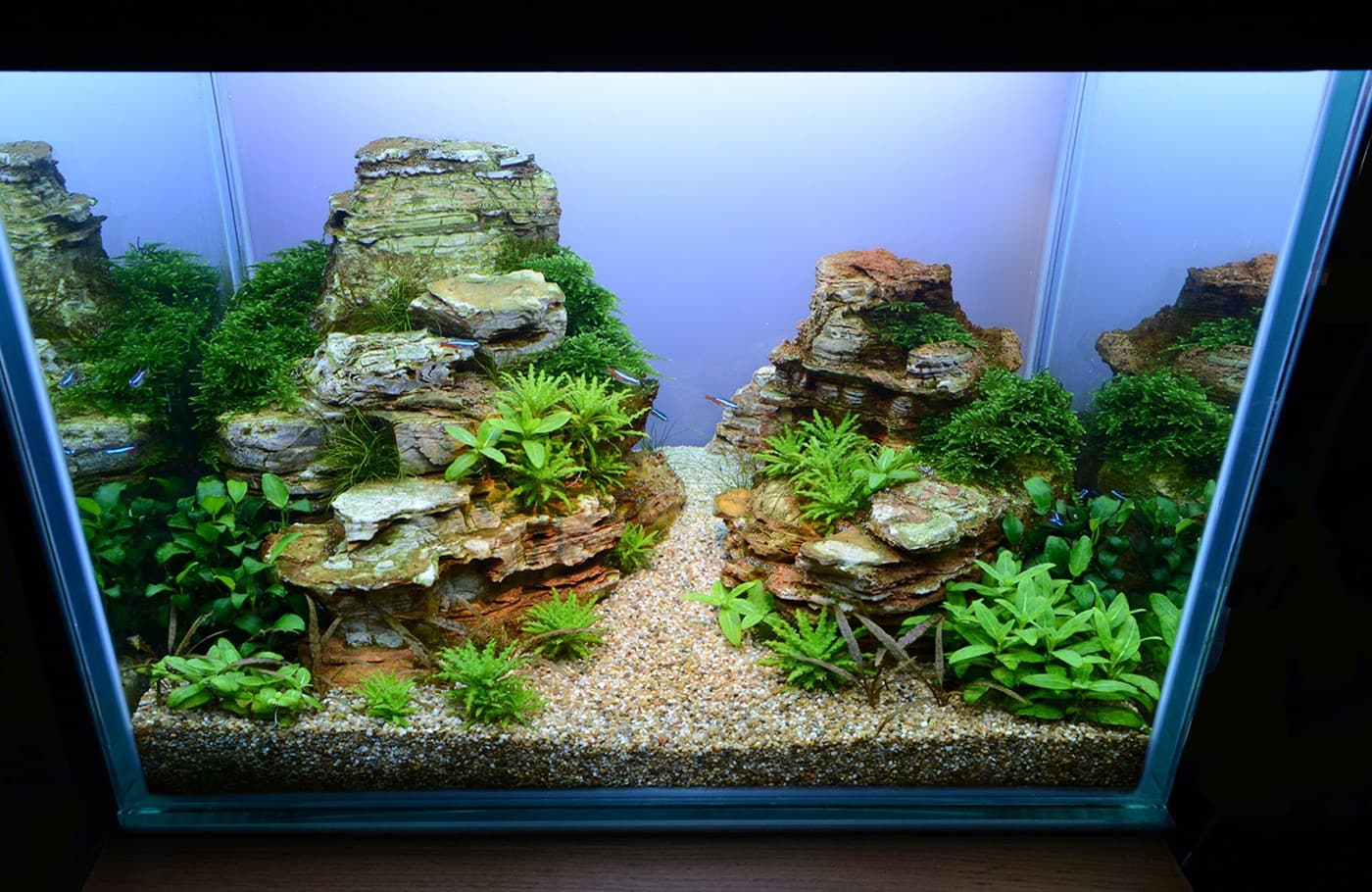 On the Rocks, Bild 1