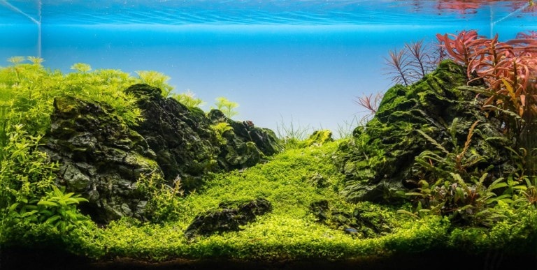 Layout 126 
